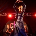 flamenco (109)